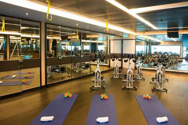 Princess Cruises Coral Class Interior fitness centre.jpg